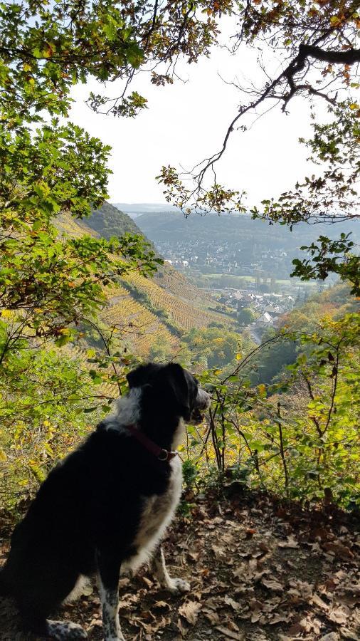 Landgasthaus Zur Kupferkanne Kobern-Gondorf Buitenkant foto